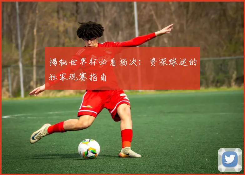 揭秘世界杯必看场次:资深球迷的独家观赛指南