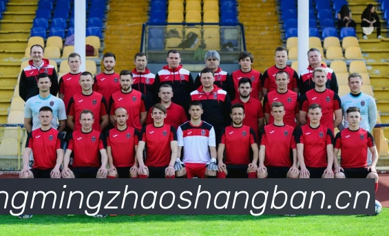 九游官网登录入口平台生态图